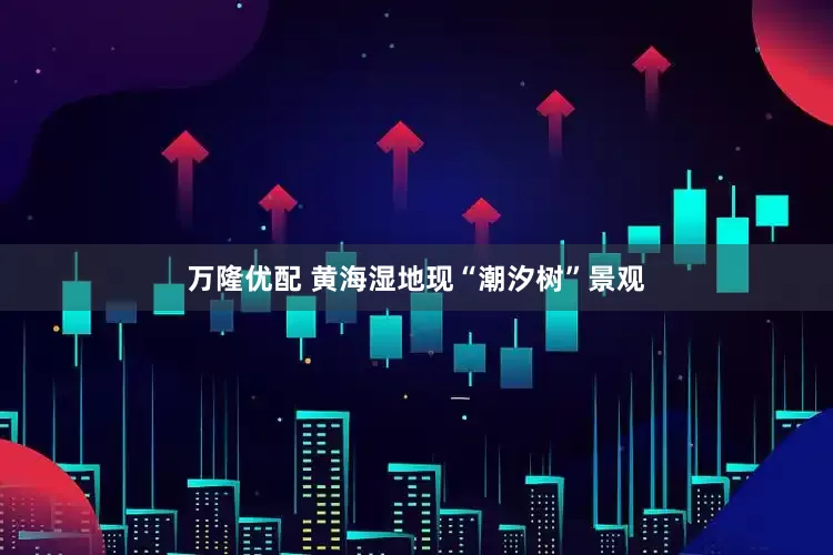 万隆优配 黄海湿地现“潮汐树”景观